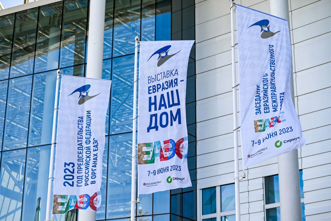 Цветотрон выставка